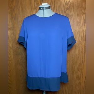 Banana Republic women’s blue shorts sleeveless blouse.